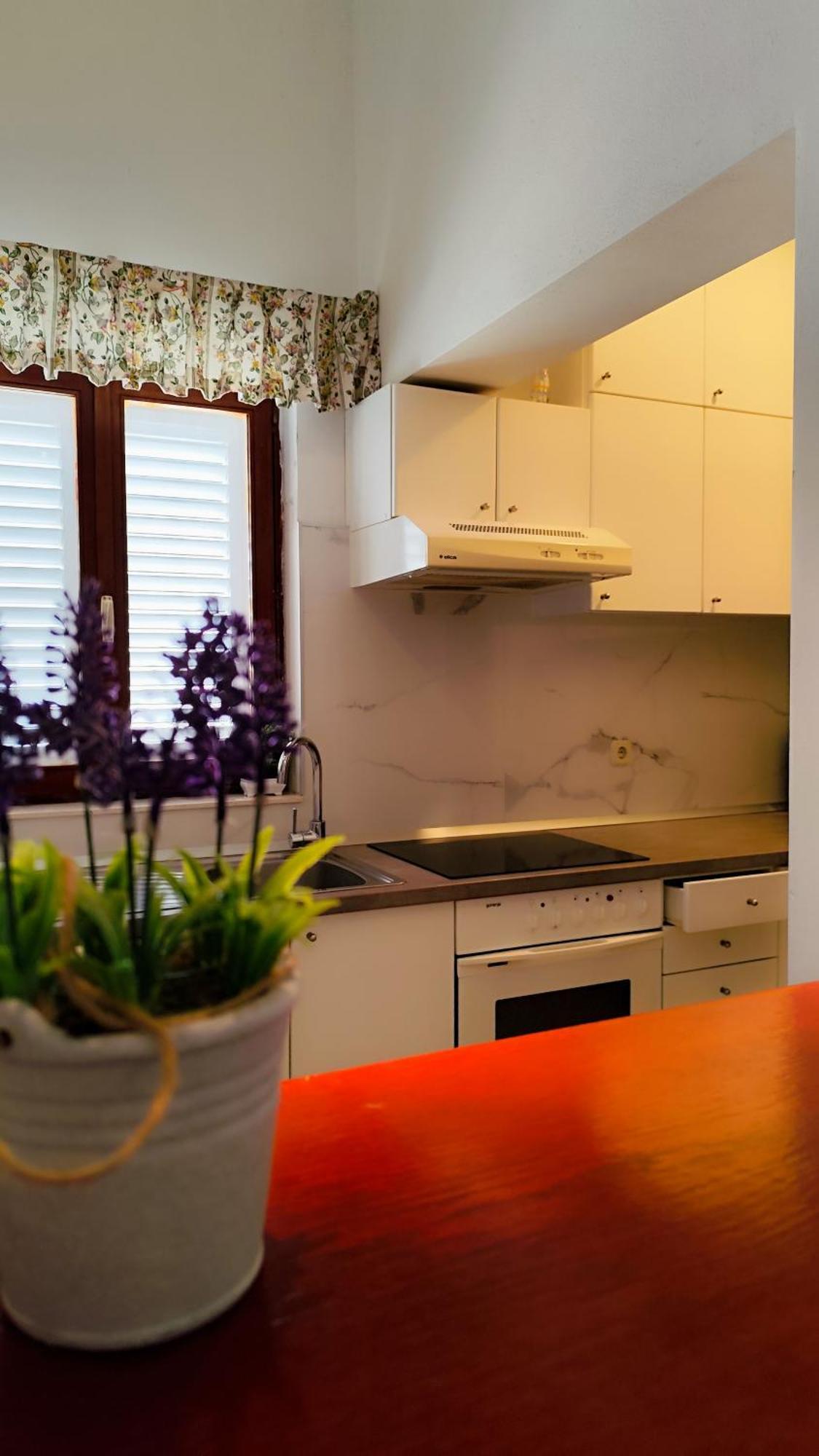 Apartman Beus 马卡尔斯卡 外观 照片